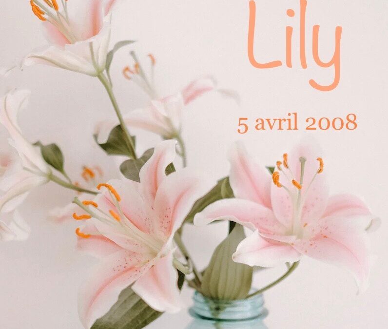 Lily – 5 avril 2008