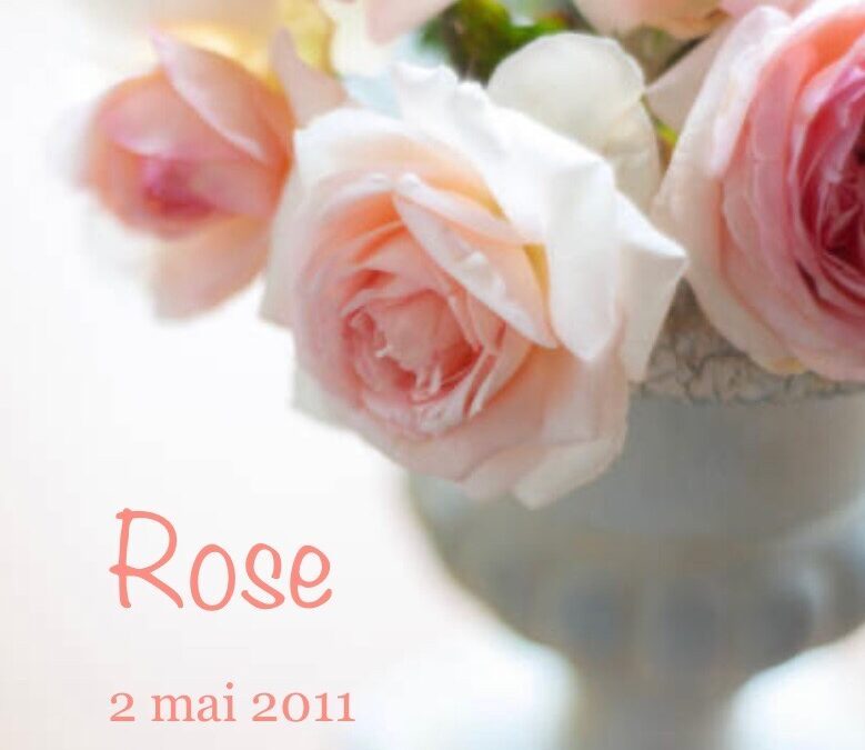 Rose – 2 mai 20122